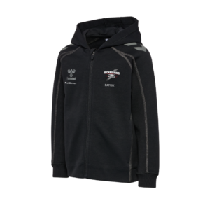 Kickboxning Move 2.0 Zip Hood Junior